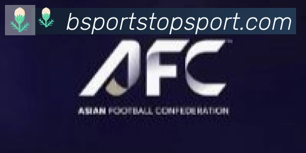 Bsports官网合作伙伴