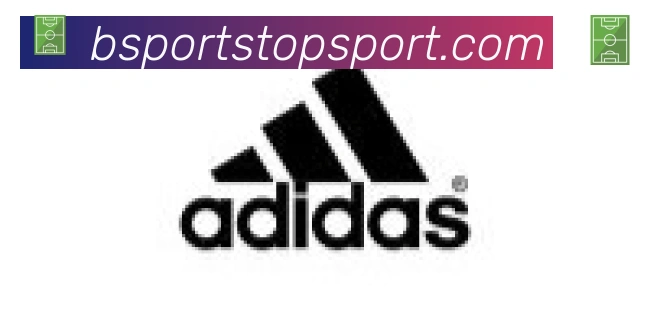 Bsports官网合作伙伴
